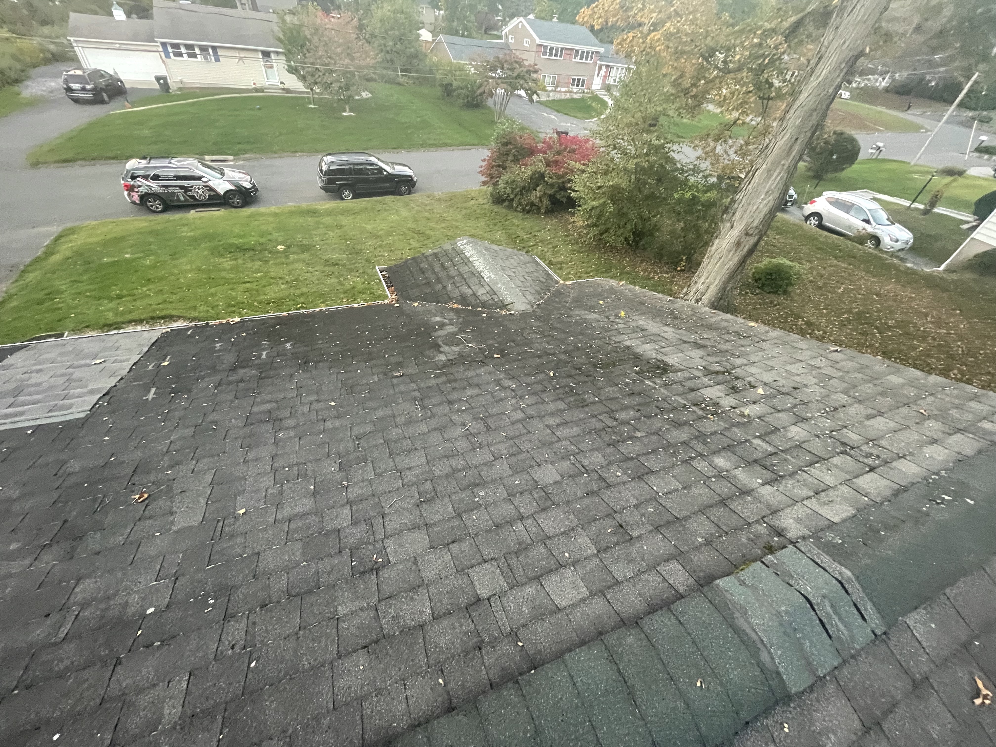 Roof moss mold and mildew